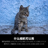狼族优选丨腾龙28-200mm F/2.8-5.6微单 E卡口A071 全画幅 大变焦镜头 全新行货 商品缩略图10