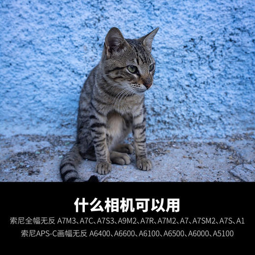 狼族优选丨腾龙28-200mm F/2.8-5.6微单 E卡口A071 全画幅 大变焦镜头 全新行货 商品图10