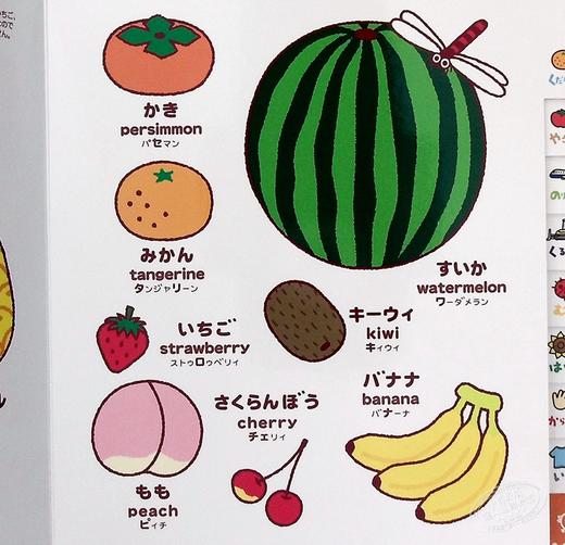 预售 【中商原版】儿童图鉴 0-4岁初级儿童日语启蒙 付英语对照 日文原版 こどもずかん どうぶつ くだもの やさい のりもの くるま むし 商品图7