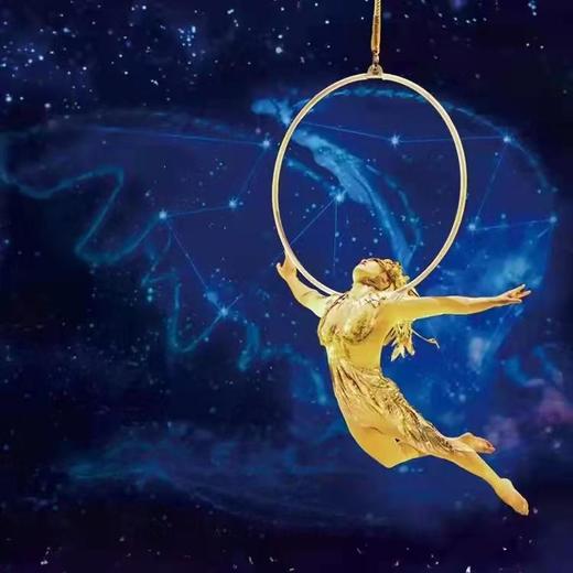 【门票】2022好运入戏—太阳马戏新春限量早鸟票 商品图0