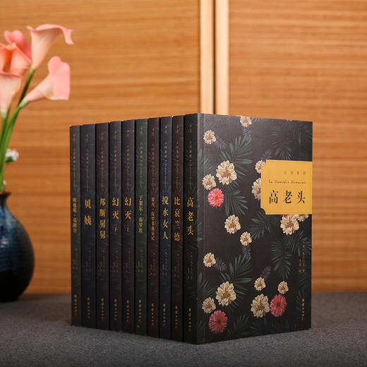 人间喜剧(全十册)哲学人公号专属 商品图0