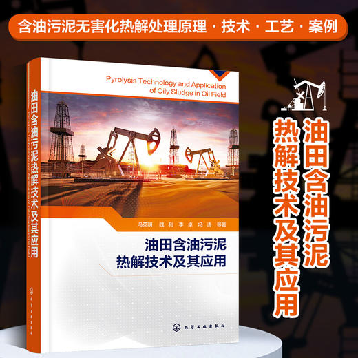 油田含油污泥热解技术及其应用 商品图0
