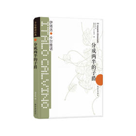《卡尔维诺经典：分成两半的子爵》