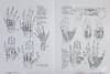 【中商原版】【Morpho系列】手和脚 进口艺术 Morpho: Hands and Feet 人体结构绘画技巧素描美术技法指南 商品缩略图6