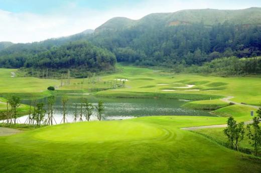 观光茶园  挥杆大洋 商品图1