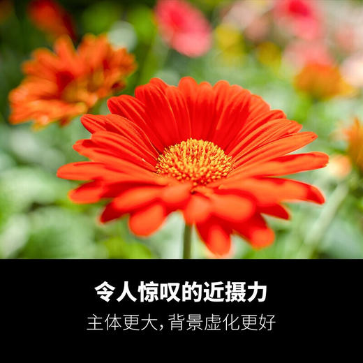 狼族优选丨腾龙28-200mm F/2.8-5.6微单 E卡口A071 全画幅 大变焦镜头 全新行货 商品图4