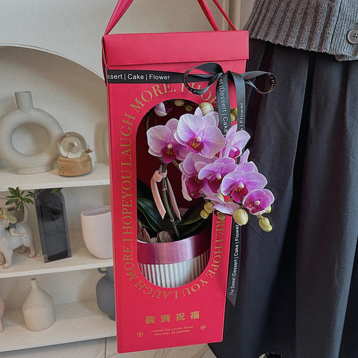 祝福满满  高级感蝴蝶兰礼盒 商品图2