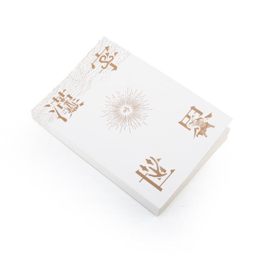 汉字的世界 上 汉字体系及汉学文化 语言文学书籍 商品图1