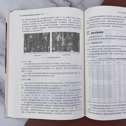 油田含油污泥热解技术及其应用 商品图4