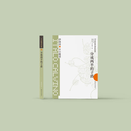 《卡尔维诺经典：分成两半的子爵》 商品图1