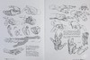 【中商原版】【Morpho系列】手和脚 进口艺术 Morpho: Hands and Feet 人体结构绘画技巧素描美术技法指南 商品缩略图7
