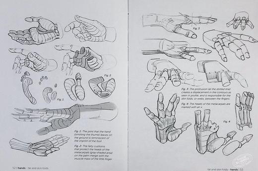 【中商原版】【Morpho系列】手和脚 进口艺术 Morpho: Hands and Feet 人体结构绘画技巧素描美术技法指南 商品图7