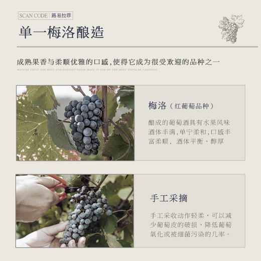 【法国路易拉菲】路易拉菲传说/传承/传奇系列干红葡萄酒 法国原瓶进口 商品图2