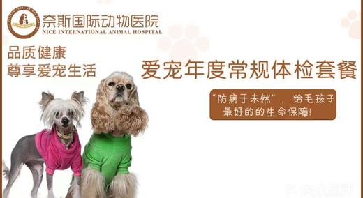 爱宠年度深度体检 商品图1