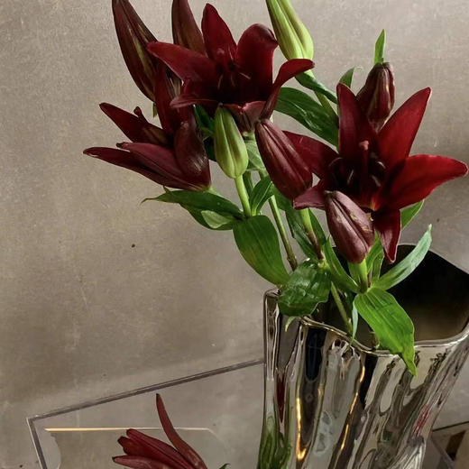红宝石百合瓶  · 年宵花 商品图4