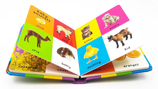 宝宝的农场词汇100个 英文原版绘本 First 100 Farm Words 儿童启蒙图解词典图画书纸板书 进口英语书籍 商品图2