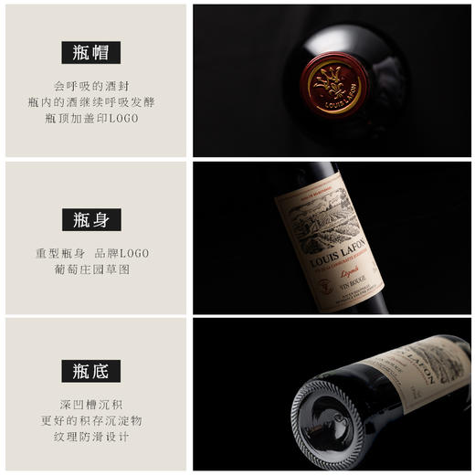 【法国路易拉菲】路易拉菲传说/传承/传奇系列干红葡萄酒 法国原瓶进口 商品图11
