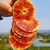 长寿湖血丝塔罗科脐橙 商品缩略图5