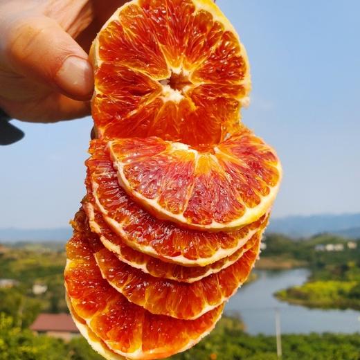 长寿湖血丝塔罗科脐橙 商品图5