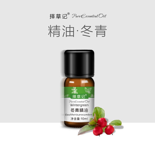 【开放下单】择草记冬青精油 商品图0