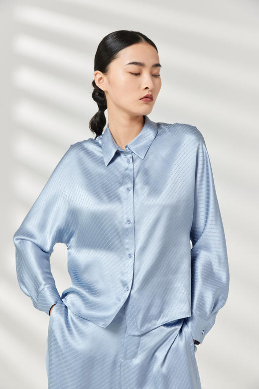 真丝提花衬衫 SJS94W023W 商品图2