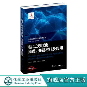 锂二次电池原理、关键材料及应用-先进化工材料关键技术丛书
