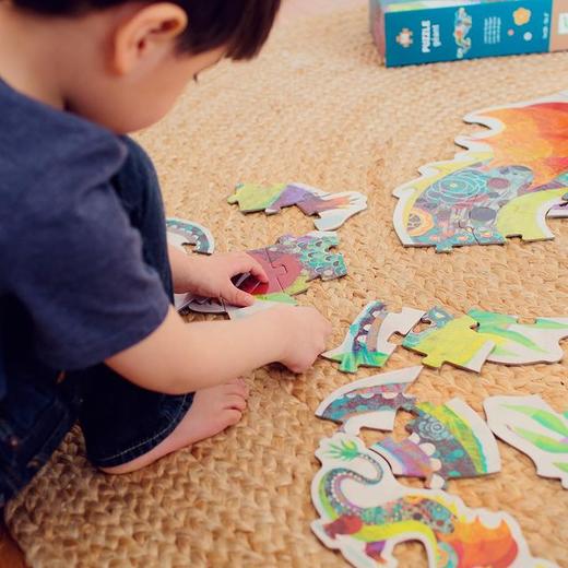 DJECO艺术拼图（150-350片）&大块拼图（58片），儿童成人皆适宜(专用链接) 商品图5