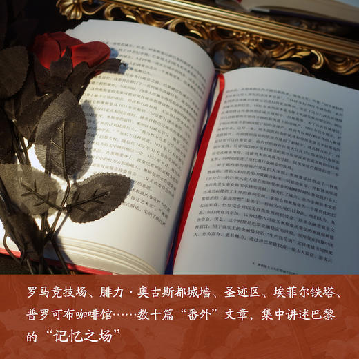 巴黎传：法兰西的缩影 商品图5