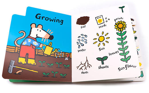 小鼠波波探索系列 科普单词书 英文原版绘本 Maisy Explores A First Words Book 儿童英语启蒙认知纸板书 Lucy Cousins 英文版 商品图1