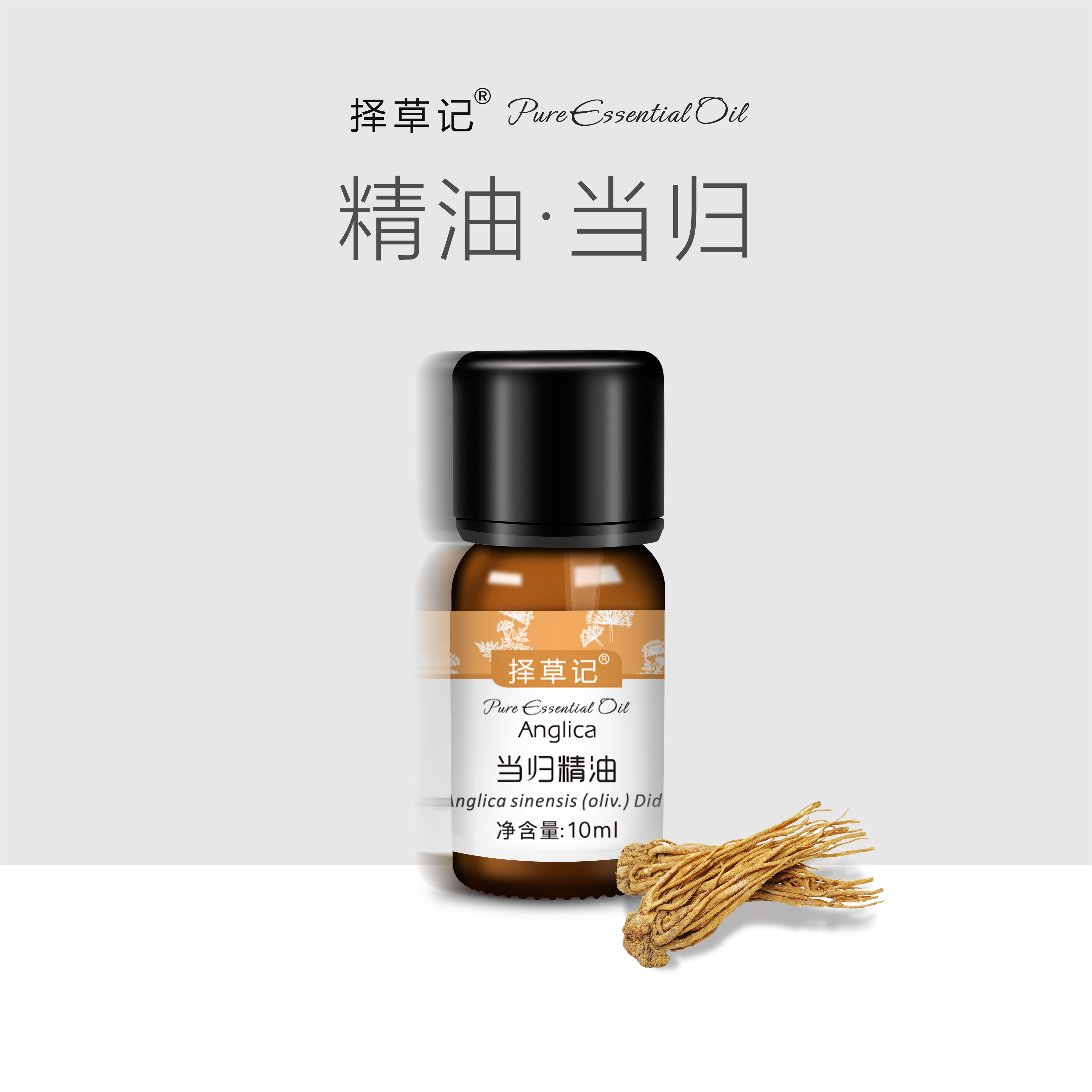 择草记当归精油【超会专享】