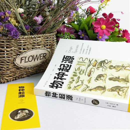 【9.9元包邮】正版 图说物种起源 达尔文著的书籍 进化论生物信息学图解科学了解生命是什么自然史动植物生物学 商品图2