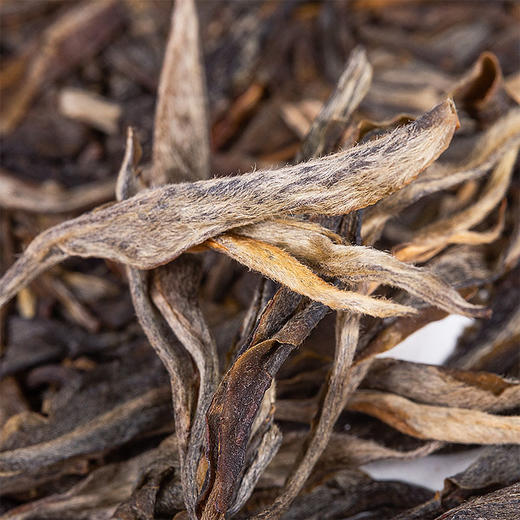 生普丨鹤龍祺福 2020年 冰岛 357克/饼 商品图2