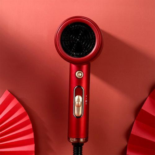 西屋Westinghouse负离子家用电吹风女性便携吹风机 商品图1