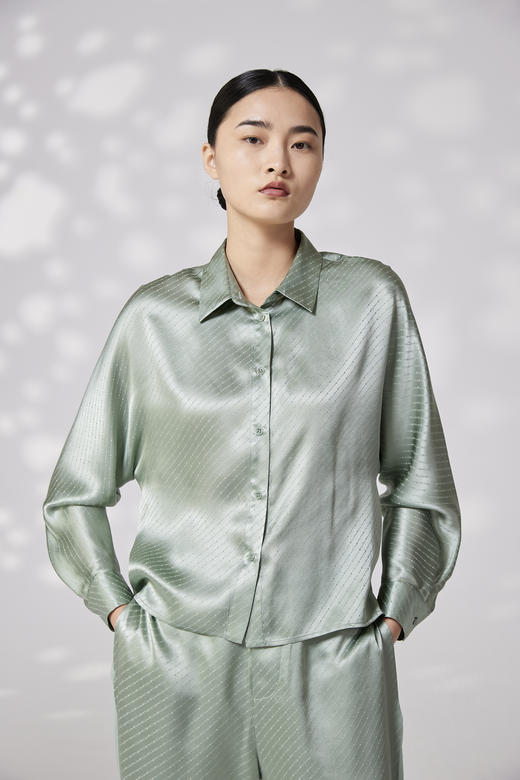 真丝提花衬衫 SJS94W023W 商品图0