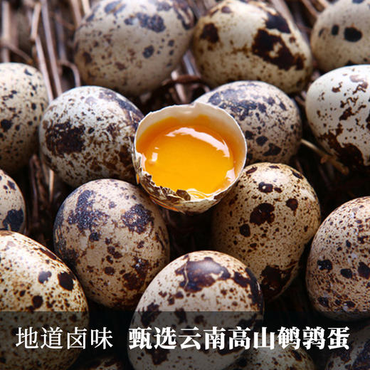咚咚牌鹌鹑蛋（香卤味）150g/盒 商品图2