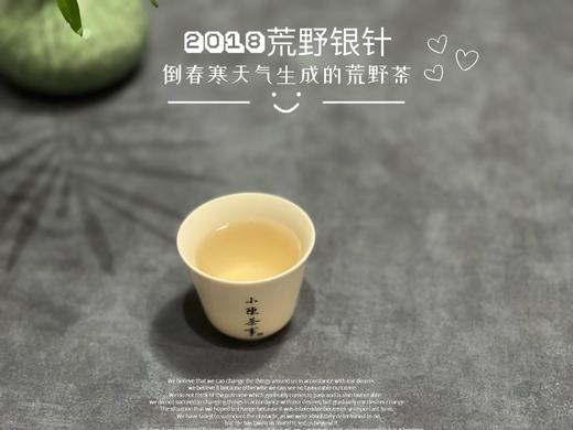 【限量专供】6年陈2018荒野银针，来自太姥山的荒山野韵（50克品鉴装） 商品图9