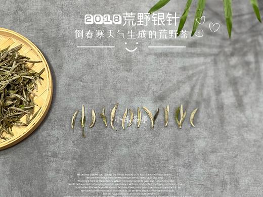 【限量专供】6年陈2018荒野银针，来自太姥山的荒山野韵（50克品鉴装） 商品图4