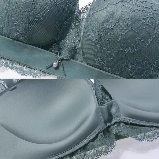 【列维斯蕾丝】安莉芳无钢圈聚拢文胸女深V半杯内衣EB1359 商品图4