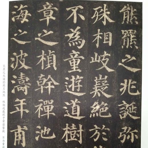 历代碑帖经典：《多宝塔碑》《颜勤礼碑》，16开，函套装，颜真卿书，安徽美术出版社2016年版，两册定价318元，售价105元。 商品图7