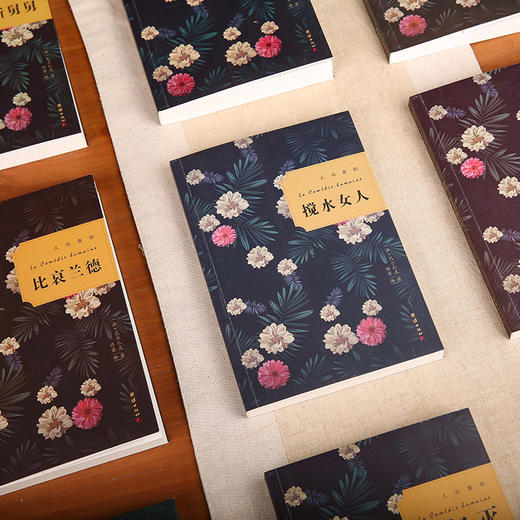 人间喜剧(全十册)哲学人公号专属 商品图3