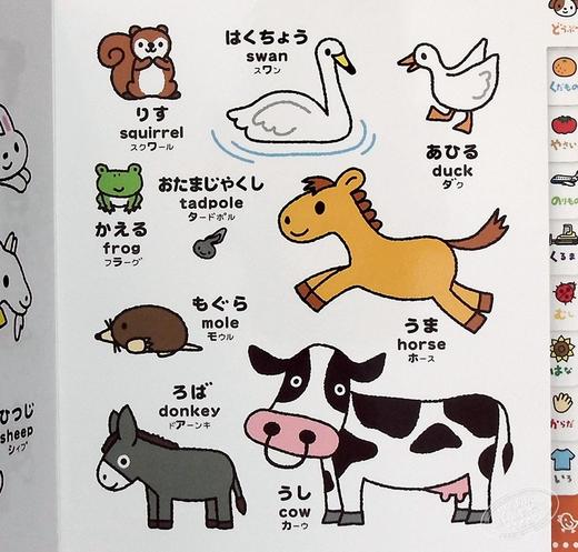 预售 【中商原版】儿童图鉴 0-4岁初级儿童日语启蒙 付英语对照 日文原版 こどもずかん どうぶつ くだもの やさい のりもの くるま むし 商品图5