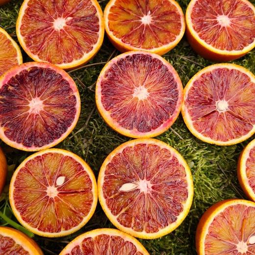 长寿湖血丝塔罗科脐橙 商品图4