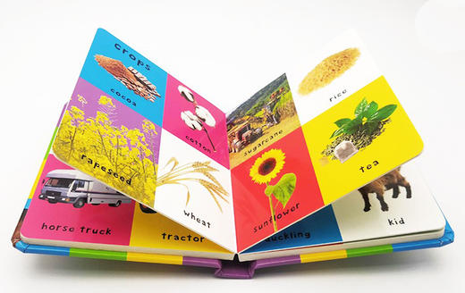 宝宝的农场词汇100个 英文原版绘本 First 100 Farm Words 儿童启蒙图解词典图画书纸板书 进口英语书籍 商品图3