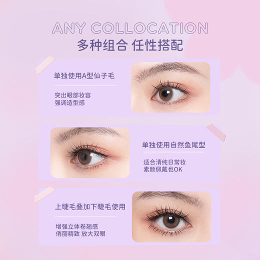 EVERBAB单簇假睫毛 商品图2