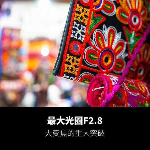 狼族优选丨腾龙28-200mm F/2.8-5.6微单 E卡口A071 全画幅 大变焦镜头 全新行货 商品图9