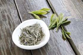 弘通禅茶丨白茶保存需讲究，南北方有差异！