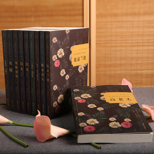 人间喜剧(全十册)哲学人公号专属 商品图1