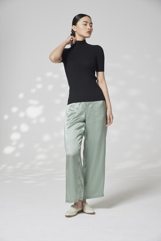 疗愈羊绒|半高领精纺短袖上衣 SJS94W064K 商品图3