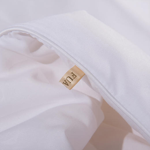 富安娜 丝蕴蚕丝被  400g 商品图4