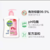 滴露Dettol健康抑菌洗手液滋润倍护500g+500g瓶装补充液 抑菌99.9% -积分兑换 商品缩略图1